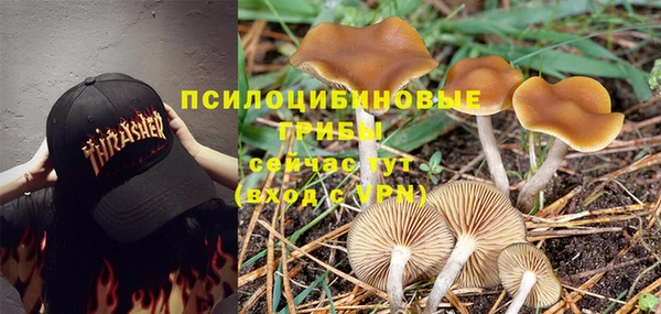 марки nbome Беломорск